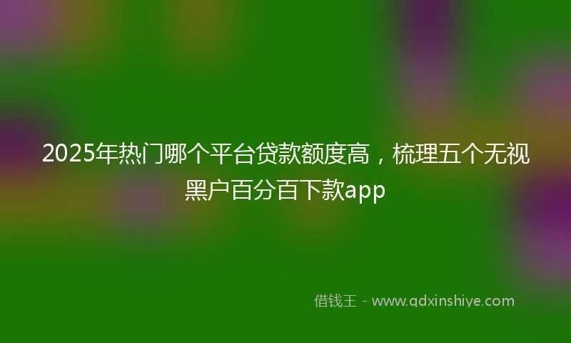 2025年热门哪个平台贷款额度高，梳理五个无视黑户百分百下款app