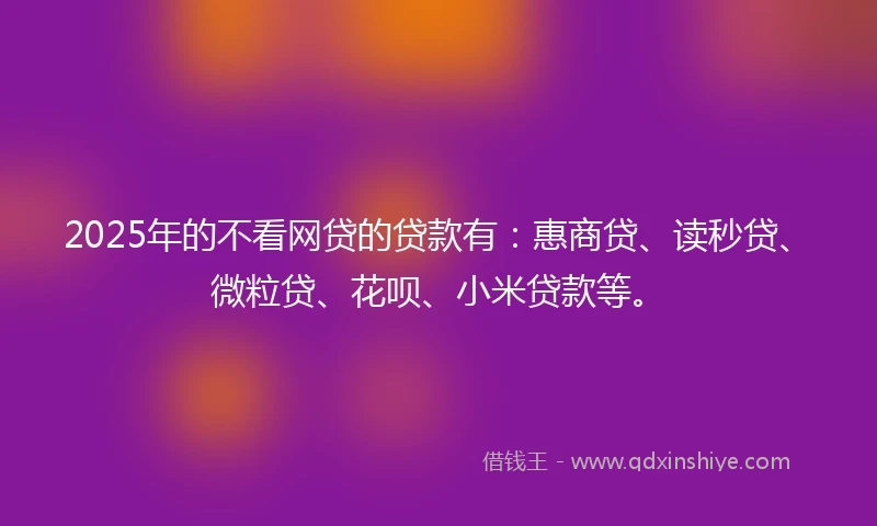 2025年的不看网贷的贷款有：惠商贷、读秒贷、微粒贷、花呗、小米贷款等。
