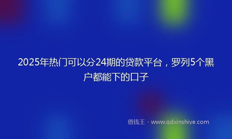 2025年热门可以分24期的贷款平台，罗列5个黑户都能下的口子