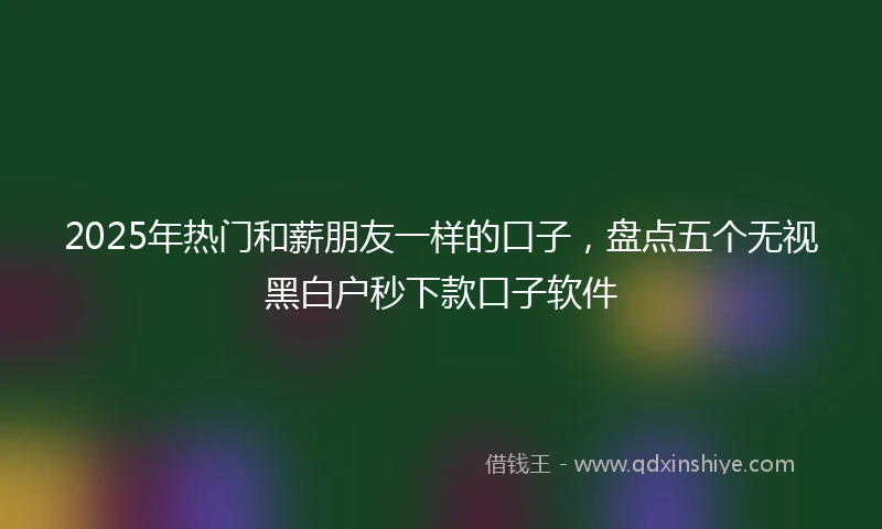 2025年热门和薪朋友一样的口子，盘点五个无视黑白户秒下款口子软件