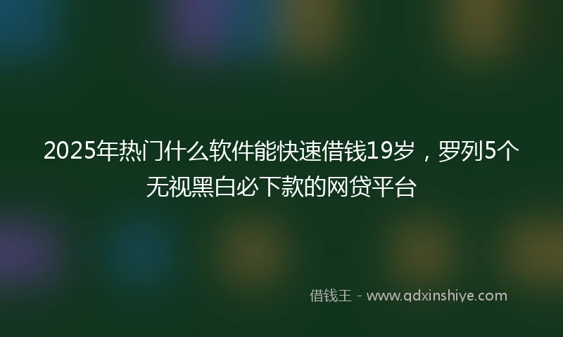 2025年热门什么软件能快速借钱19岁,罗列5个无视黑白必下款的网贷平台