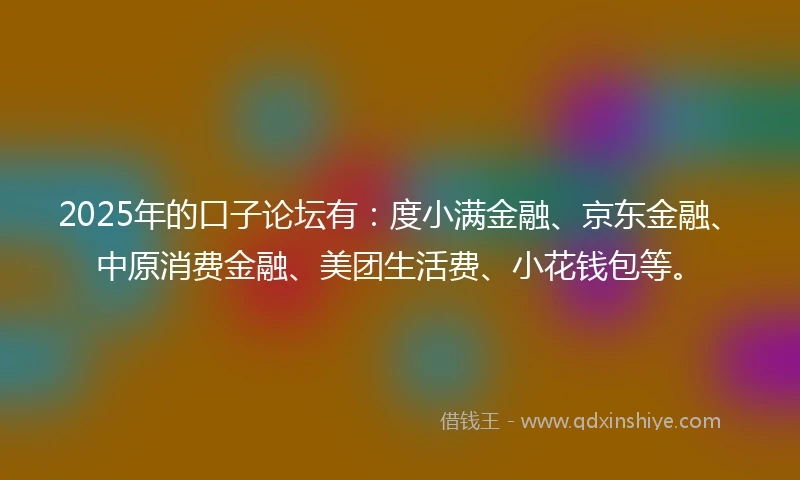 2025年的口子论坛有：度小满金融、京东金融、中原消费金融、美团生活费、小花钱包等。