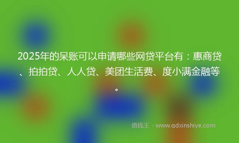 2025年的呆账可以申请哪些网贷平台有：惠商贷、拍拍贷、人人贷、美团生活费、度小满金融等。