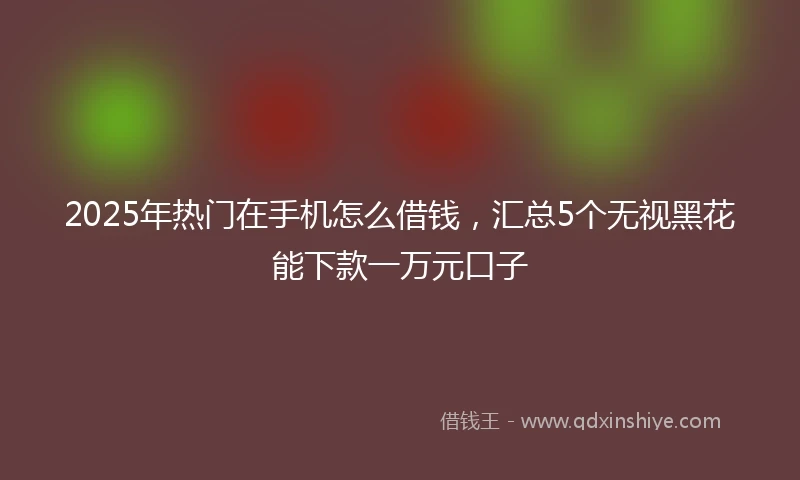 2025年热门在手机怎么借钱，汇总5个无视黑花能下款一万元口子