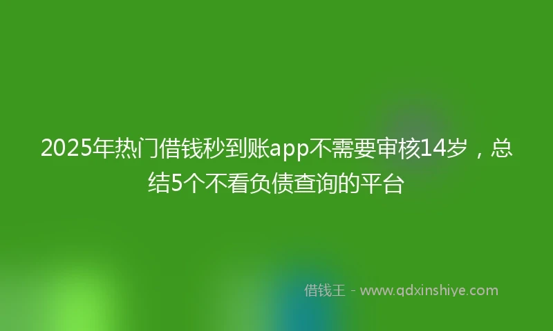 2025年热门借钱秒到账app不需要审核14岁，总结5个不看负债查询的平台