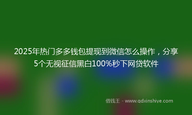 2025年热门多多钱包提现到微信怎么操作，分享5个无视征信黑白100%秒下网贷软件
