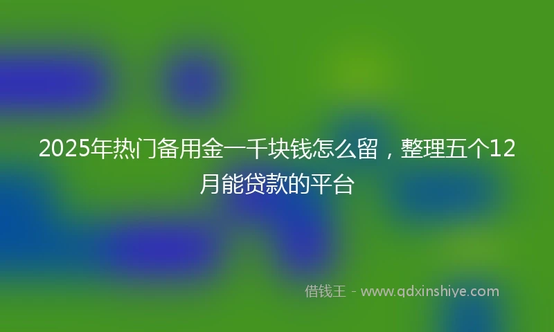 2025年热门备用金一千块钱怎么留，整理五个12月能贷款的平台
