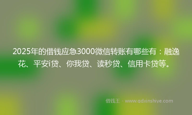 2025年的借钱应急3000微信转账有哪些有：融逸花、平安i贷、你我贷、读秒贷、信用卡贷等。