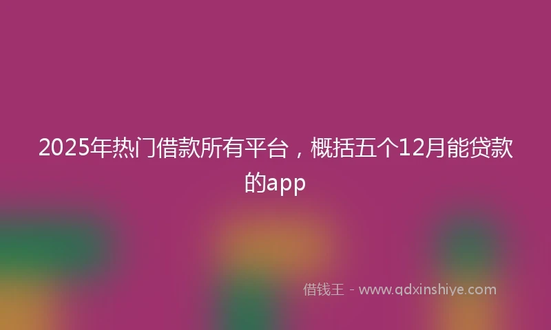 2025年热门借款所有平台，概括五个12月能贷款的app