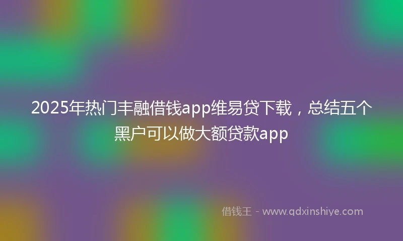 2025年热门丰融借钱app维易贷下载，总结五个黑户可以做大额贷款app