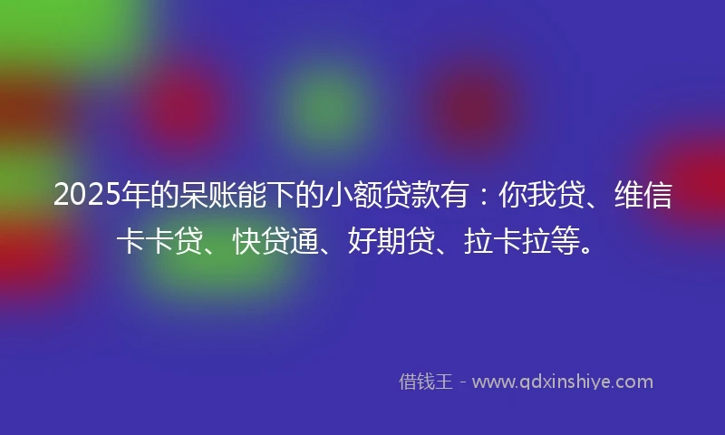 2025年的呆账能下的小额贷款有：你我贷、维信卡卡贷、快贷通、好期贷、拉卡拉等。