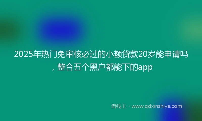 2025年热门免审核必过的小额贷款20岁能申请吗，整合五个黑户都能下的app