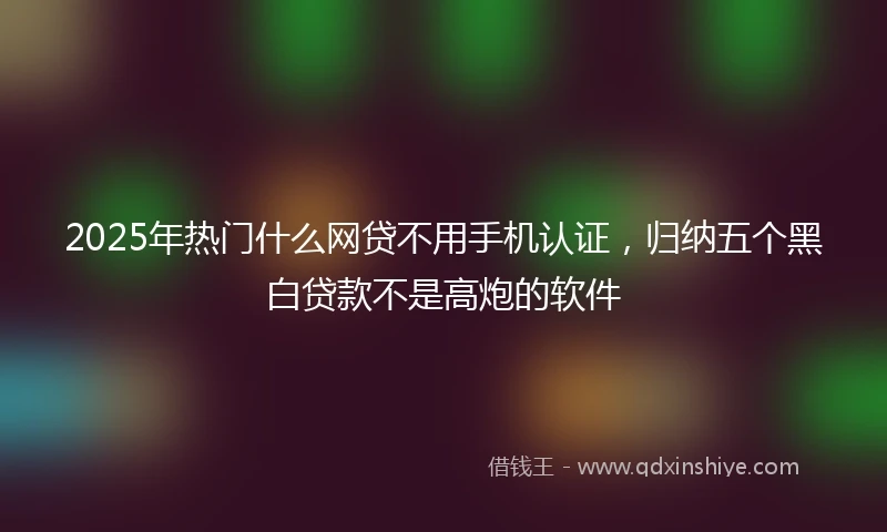 2025年热门什么网贷不用手机认证，归纳五个黑白贷款不是高炮的软件