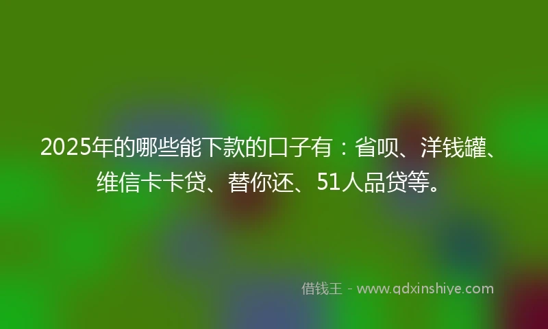 2025年的哪些能下款的口子有：省呗、洋钱罐、维信卡卡贷、替你还、51人品贷等。