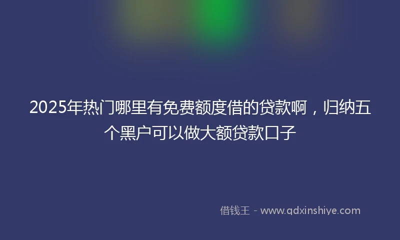 2025年热门哪里有免费额度借的贷款啊，归纳五个黑户可以做大额贷款口子