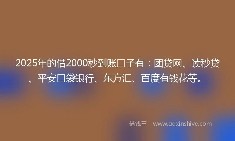 2025年的借2000秒到账口子有：团贷网、读秒贷、平安口袋银行、东方汇、百度有钱花等。