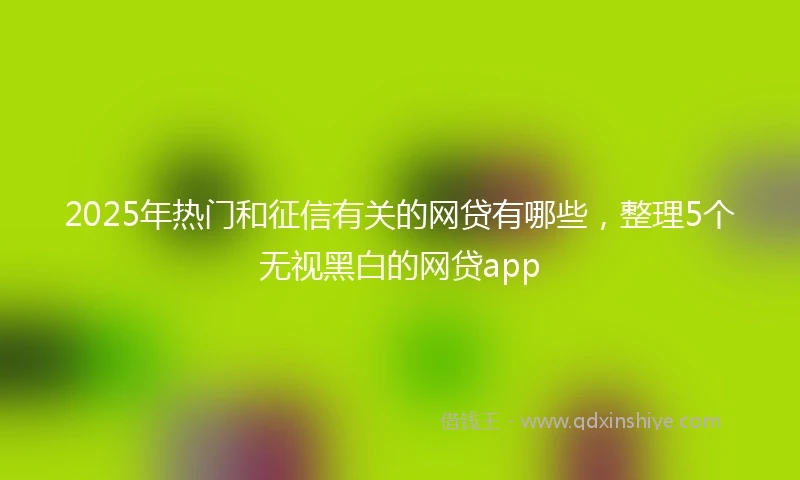 2025年热门和征信有关的网贷有哪些,整理5个无视黑白的网贷app