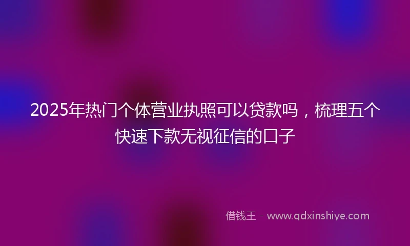 2025年热门个体营业执照可以贷款吗，梳理五个快速下款无视征信的口子