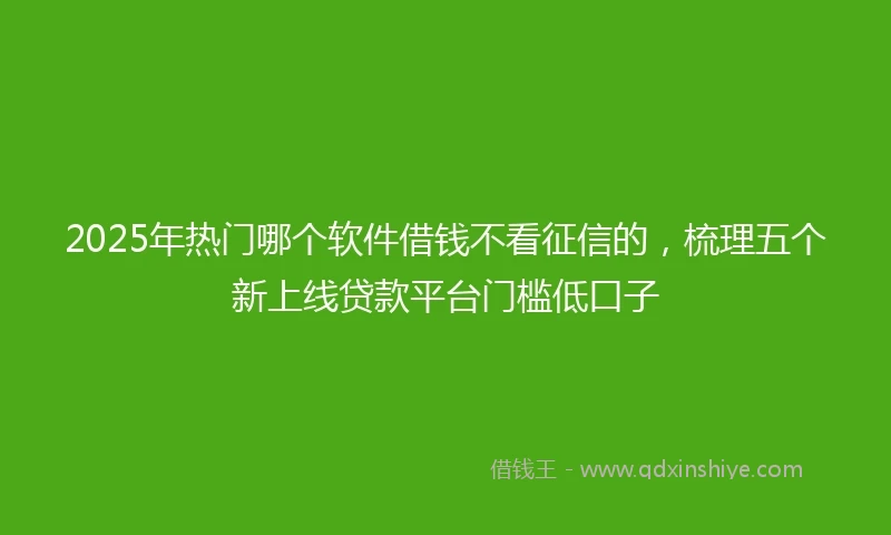2025年热门哪个软件借钱不看征信的，梳理五个新上线贷款平台门槛低口子