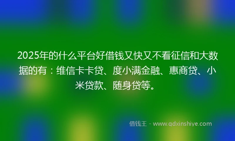 2025年的什么平台好借钱又快又不看征信和大数据的有：维信卡卡贷、度小满金融、惠商贷、小米贷款、随身贷等。