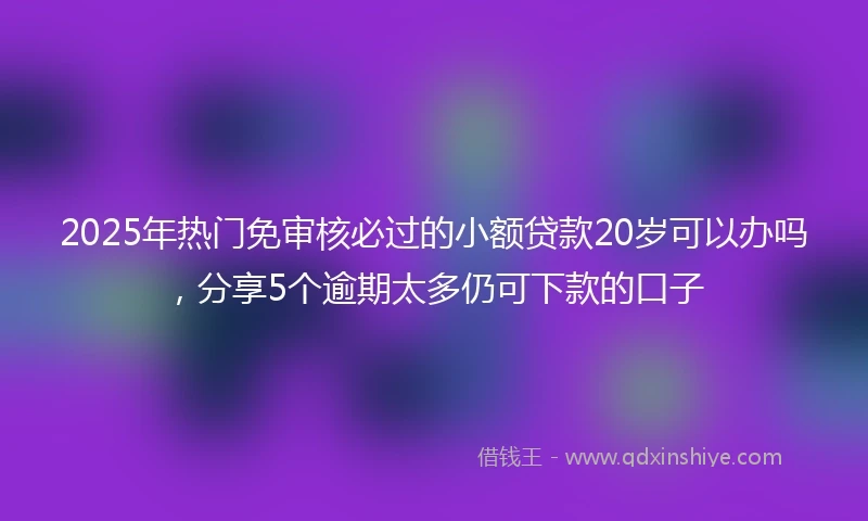 2025年热门免审核必过的小额贷款20岁可以办吗，分享5个逾期太多仍可下款的口子