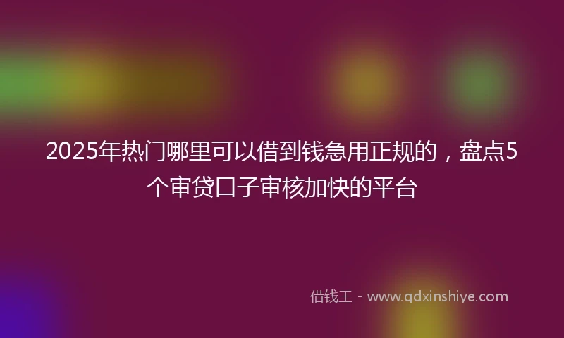 2025年热门哪里可以借到钱急用正规的，盘点5个审贷口子审核加快的平台