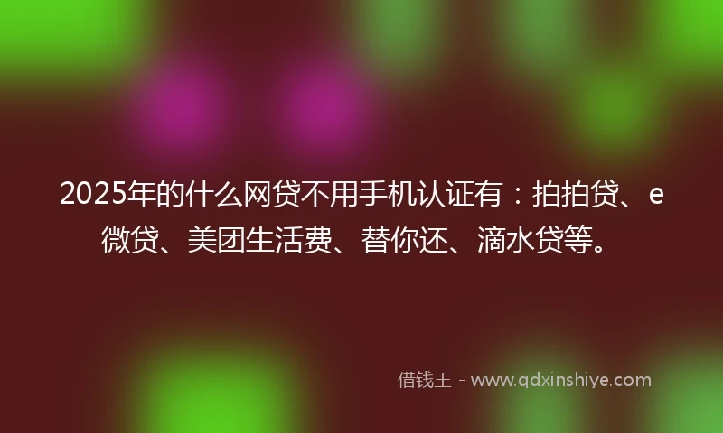 2025年的什么网贷不用手机认证有：拍拍贷、e微贷、美团生活费、替你还、滴水贷等。