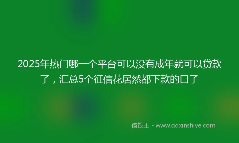 2025年热门哪一个平台可以没有成年就可以贷款了，汇总5个征信花居然都下款的口子