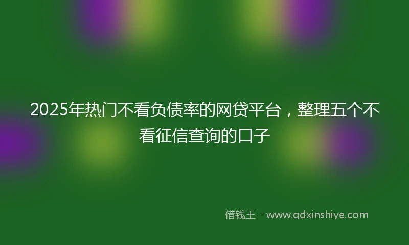 2025年热门不看负债率的网贷平台，整理五个不看征信查询的口子