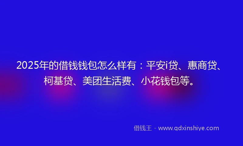 2025年的借钱钱包怎么样有：平安i贷、惠商贷、柯基贷、美团生活费、小花钱包等。