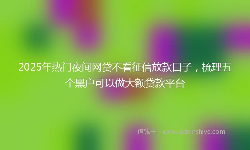 2025年热门夜间网贷不看征信放款口子，梳理五个黑户可以做大额贷款平台