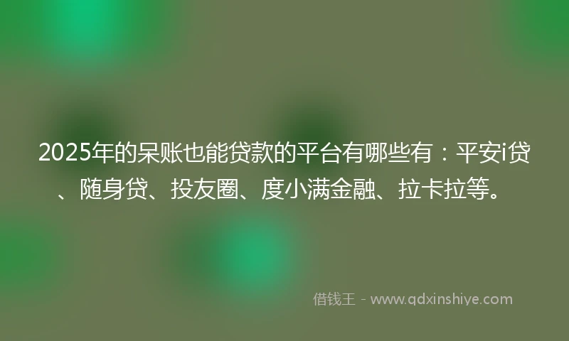 2025年的呆账也能贷款的平台有哪些有：平安i贷、随身贷、投友圈、度小满金融、拉卡拉等。