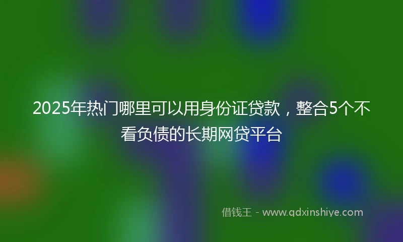 2025年热门哪里可以用身份证贷款，整合5个不看负债的长期网贷平台