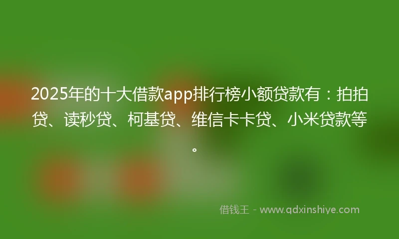 2025年的十大借款app排行榜小额贷款有：拍拍贷、读秒贷、柯基贷、维信卡卡贷、小米贷款等。