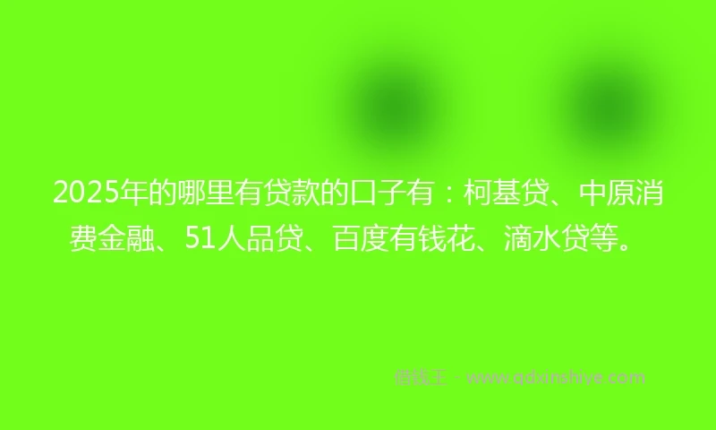 2025年的哪里有贷款的口子有：柯基贷、中原消费金融、51人品贷、百度有钱花、滴水贷等。