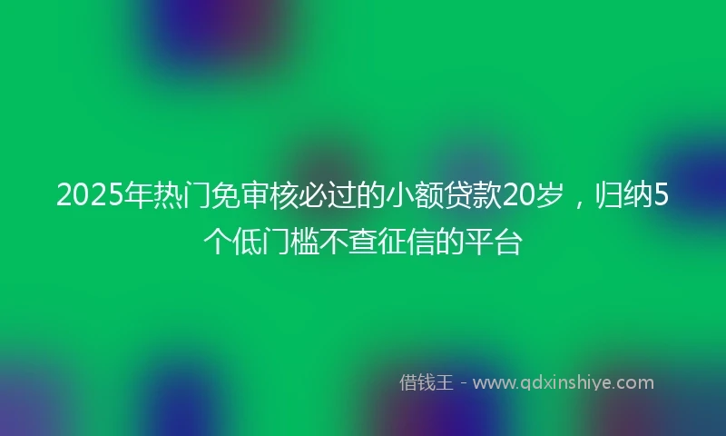 2025年热门免审核必过的小额贷款20岁，归纳5个低门槛不查征信的平台