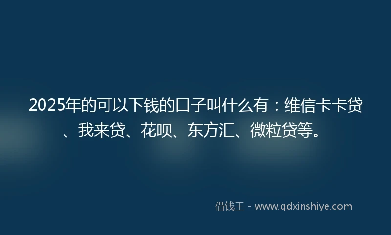 2025年的可以下钱的口子叫什么有:维信卡卡贷、我来贷、花呗、东方汇、微粒贷等。