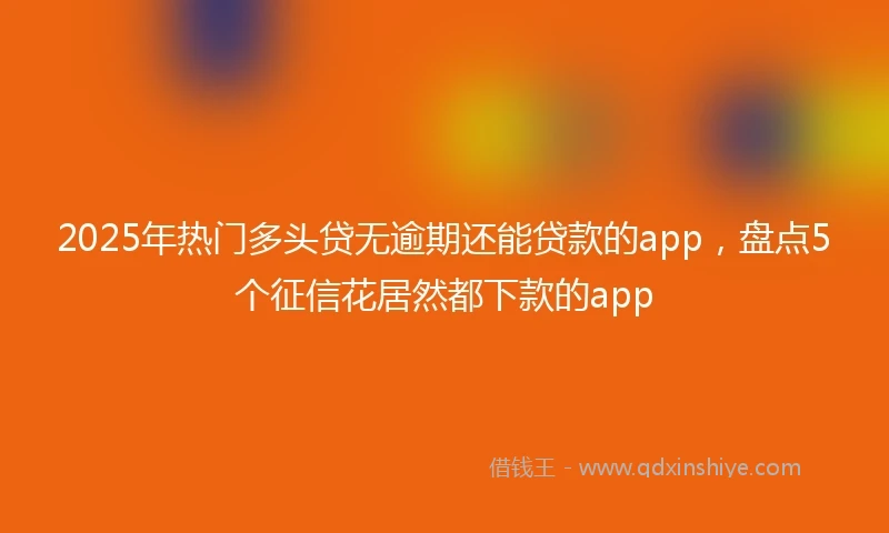 2025年热门多头贷无逾期还能贷款的app,盘点5个征信花居然都下款的app