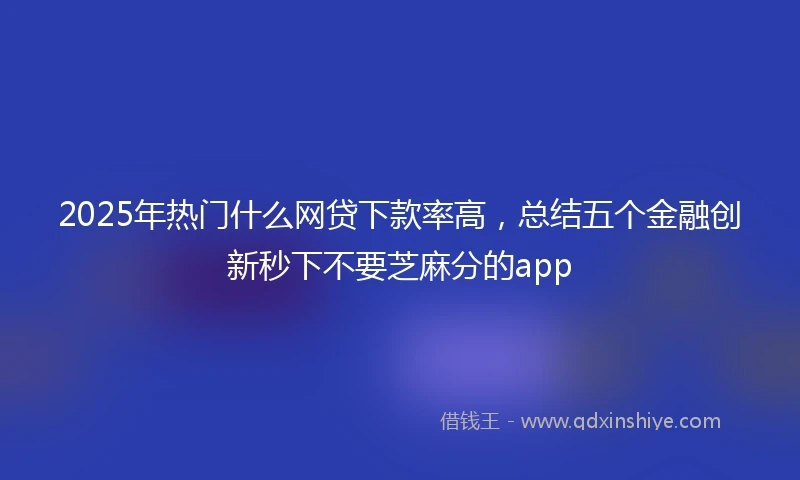 2025年热门什么网贷下款率高，总结五个金融创新秒下不要芝麻分的app