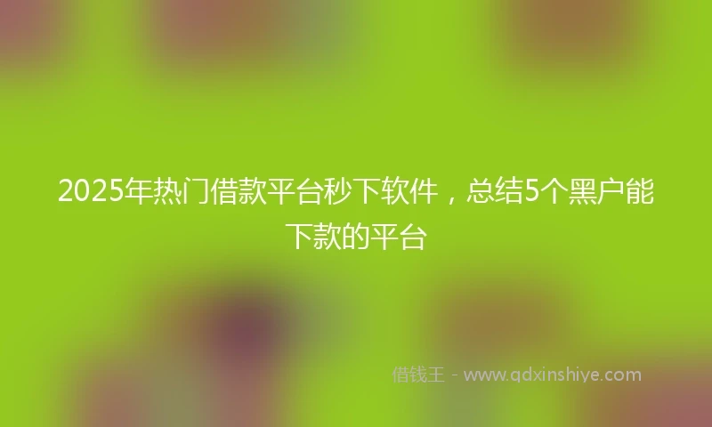 2025年热门借款平台秒下软件，总结5个黑户能下款的平台