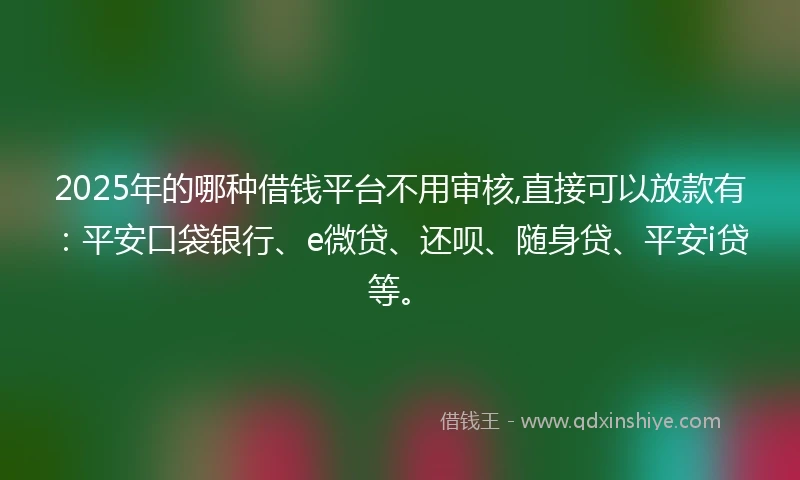 2025年的哪种借钱平台不用审核,直接可以放款有：平安口袋银行、e微贷、还呗、随身贷、平安i贷等。