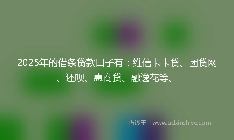 2025年的借条贷款口子有：维信卡卡贷、团贷网、还呗、惠商贷、融逸花等。