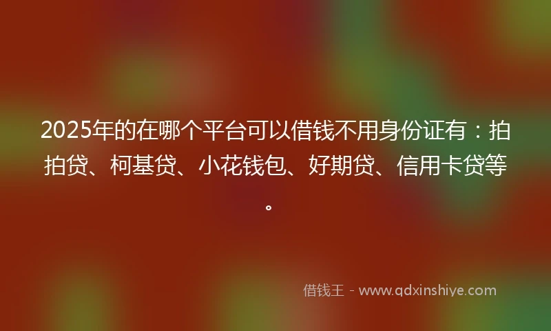 2025年的在哪个平台可以借钱不用身份证有：拍拍贷、柯基贷、小花钱包、好期贷、信用卡贷等。