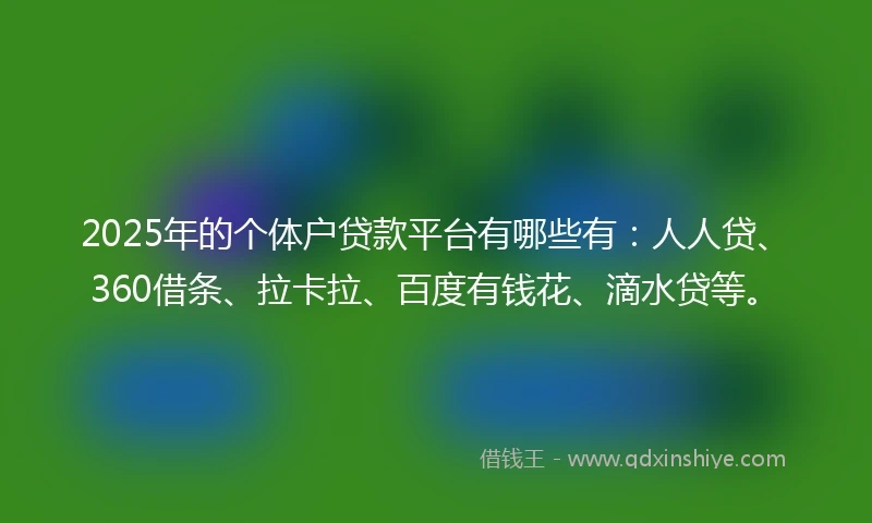 2025年的个体户贷款平台有哪些有：人人贷、360借条、拉卡拉、百度有钱花、滴水贷等。