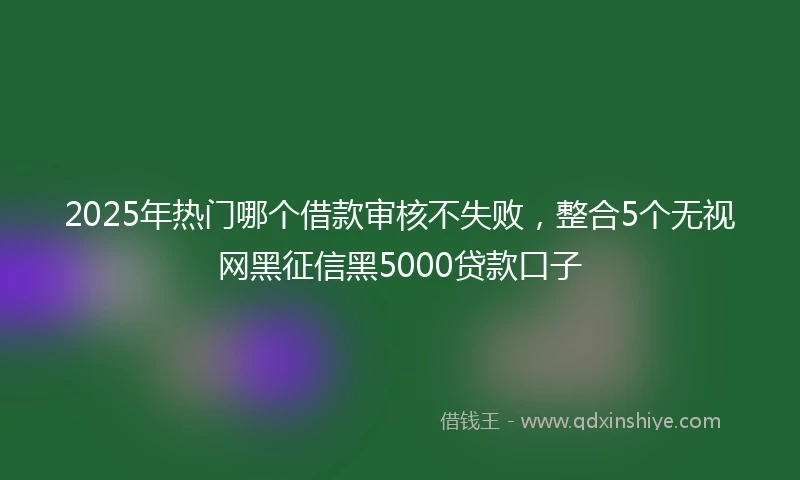 2025年热门哪个借款审核不失败，整合5个无视网黑征信黑5000贷款口子