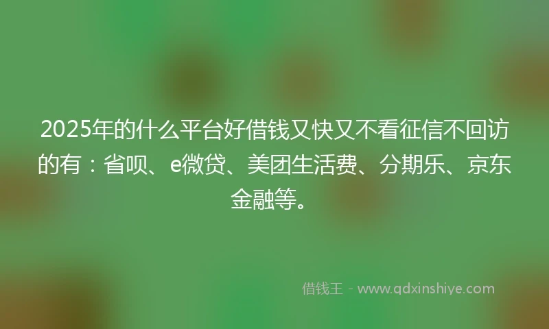 2025年的什么平台好借钱又快又不看征信不回访的有：省呗、e微贷、美团生活费、分期乐、京东金融等。