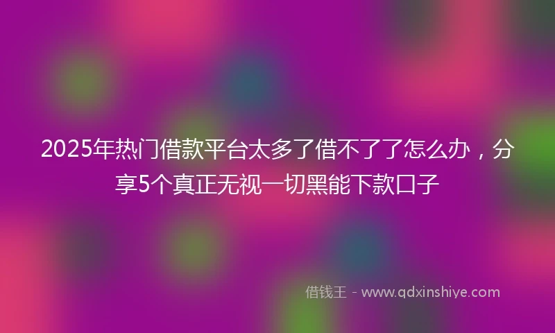 2025年热门借款平台太多了借不了了怎么办，分享5个真正无视一切黑能下款口子
