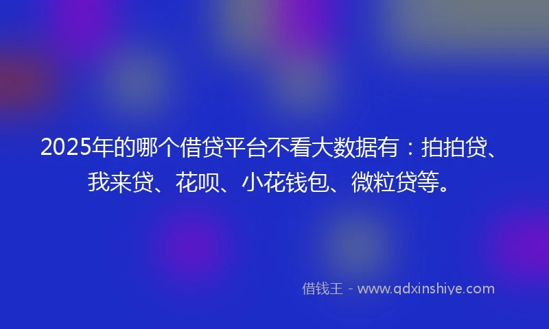 2025年的哪个借贷平台不看大数据有：拍拍贷、我来贷、花呗、小花钱包、微粒贷等。