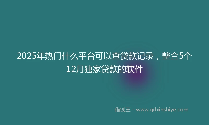 2025年热门什么平台可以查贷款记录，整合5个12月独家贷款的软件