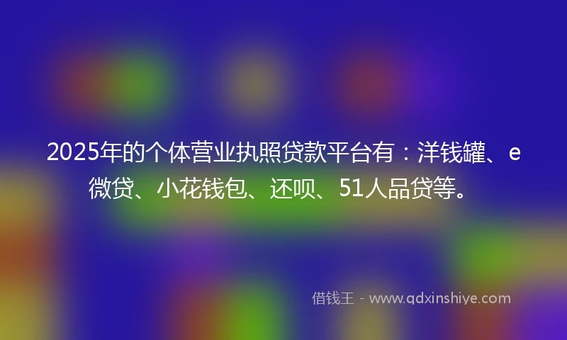 2025年的个体营业执照贷款平台有：洋钱罐、e微贷、小花钱包、还呗、51人品贷等。